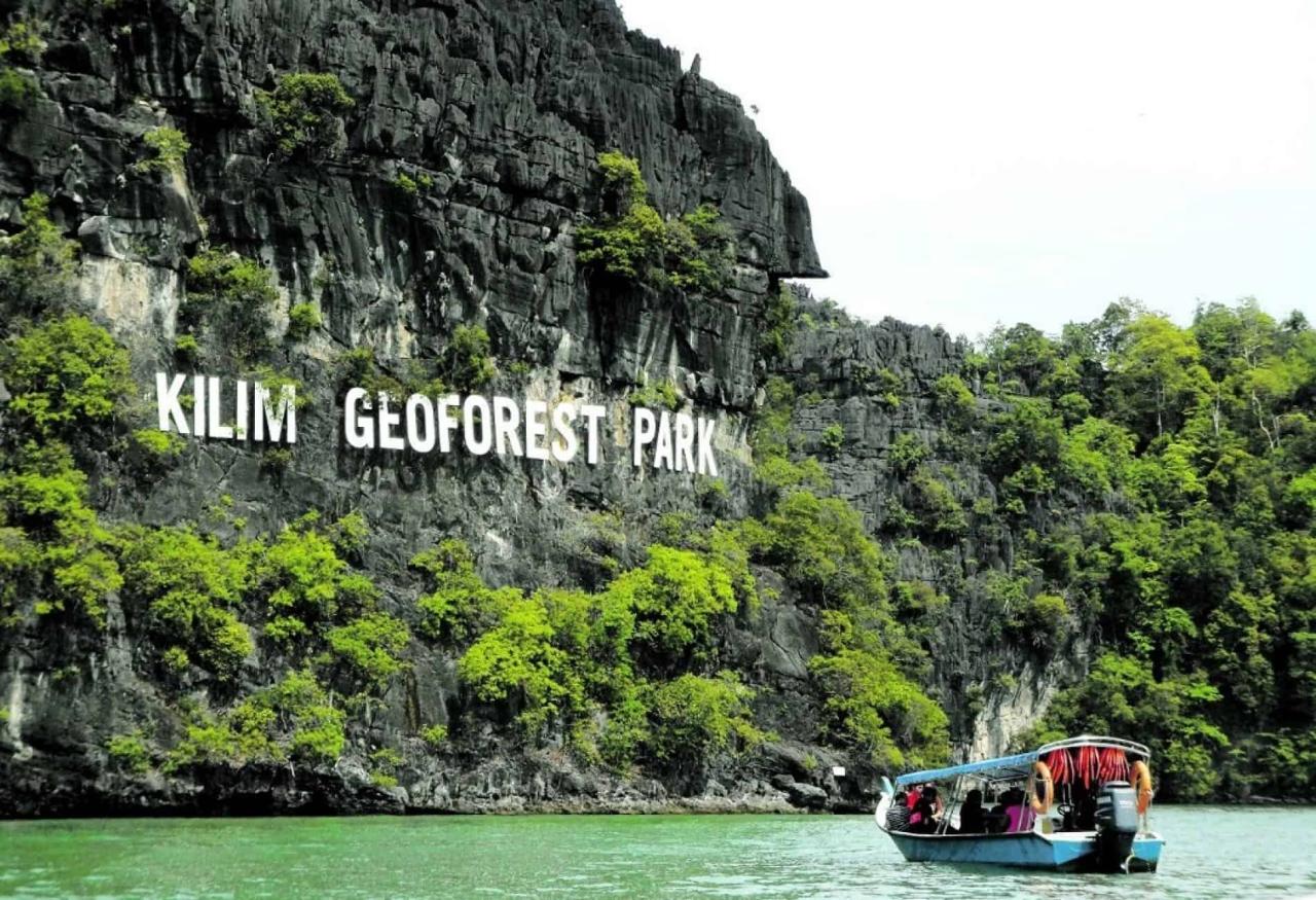 Mangrove Tour Langkawi: Eksplorasi Ekosistem Pesisir yang Menawan